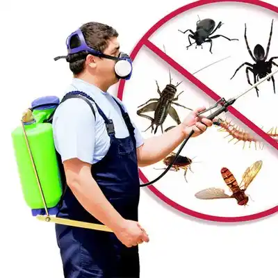 pest control Cottleville